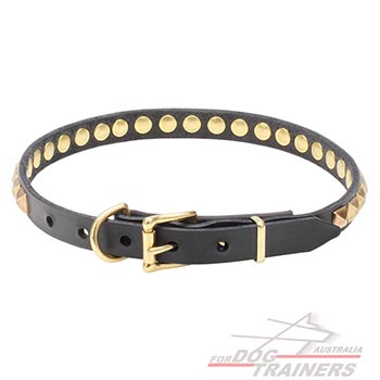 Full grain natural leather dog collar with studs