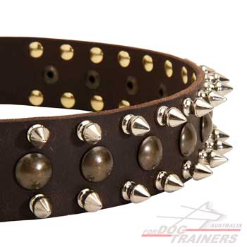 Decorated leather spiked collar