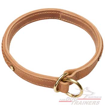 Braided leather collar for your pet
