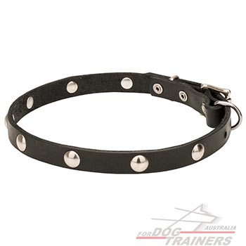 Natural leather dog collar with small studs