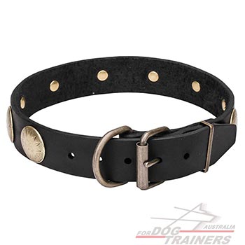 Leather Canine Collar with Rust Resistant Hardware