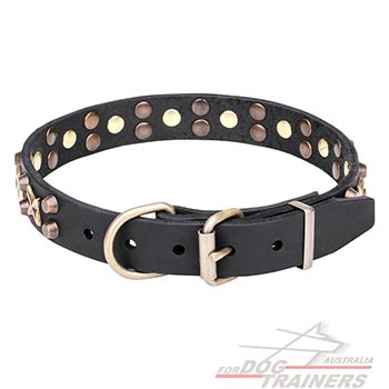  Bronze-plated Hardware on Leather Pet Collar