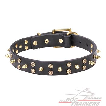  Leather Dog Collar Adorned with Spikes and Gold-Like Stars
