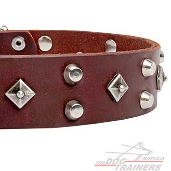 Everlasting Riveted Brown Leather Dog Collar 