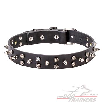 Adorned leather canine collar