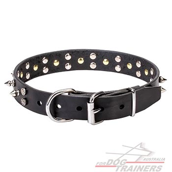 Natural Leather Dog Collar With Chrome Plated Hardware