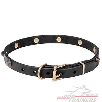 Narrow Leather Dog Collar with Brass Plated Hardware