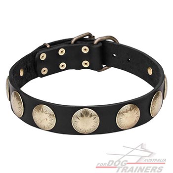 Leather Canine Collar with Riveted Brass Circles