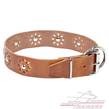 Tan color dog leather collar