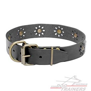 Leather Dog Collar Equipped with Brass Buckle