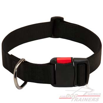 Durable Classy Nylon Collar with Easy Quick Release Buckle for Walking