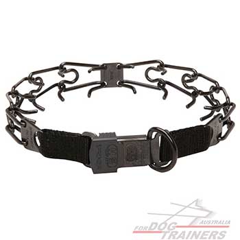 Stainless Steel Dog Pinch Collar