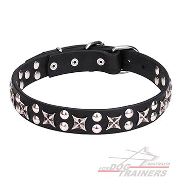 Leather Dog Collar with Chrome Plated Decorations
