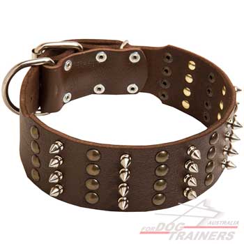 Leather dog collar with 4 rows of decoration