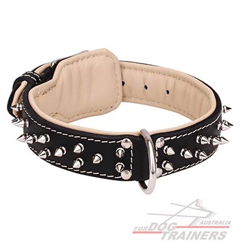 Wide Dog Collar Nappa Leather Padded