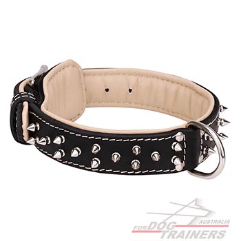 Durable Leather Dog Collar with Nickel Spikes