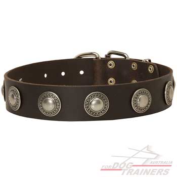 Wide leather collar with decoration