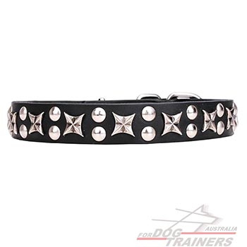 Dog leather collar with chrome plated stars and studs