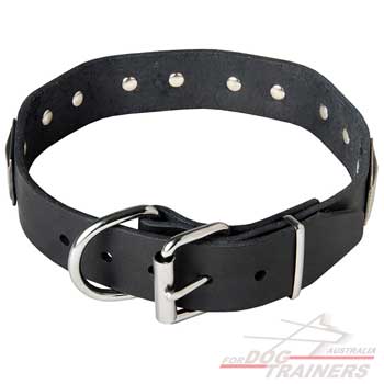 Designer leather dog collar for daily walking
