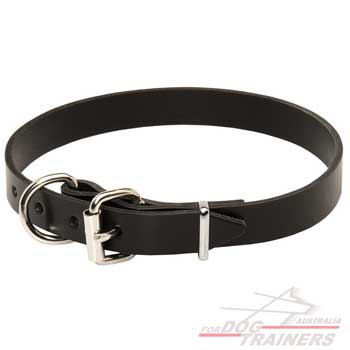 Leather dog collar with buckle-like closure