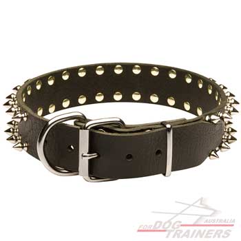 Dog collar with nickel-plated hardware