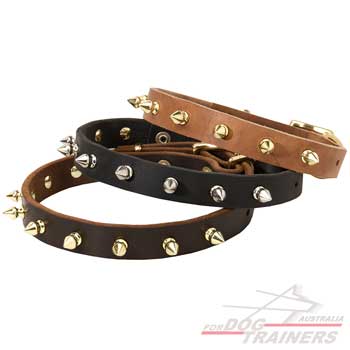 Leather collars with buckle style closure