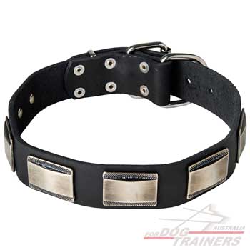 Dog collar for walking and training