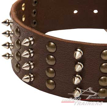 Leather dog collar wide with spikes and studs
