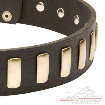 Leather dog collar for large dog breeds