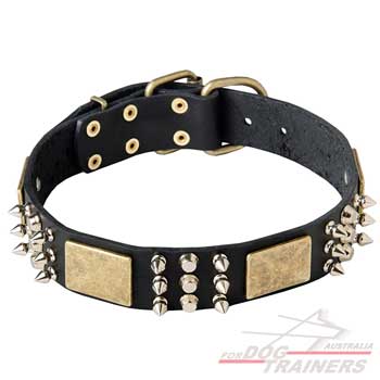 Leather dog collar with plates and spikes