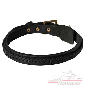 Stylish leather canine collar