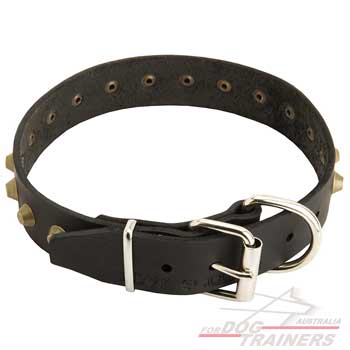 Leather dog collar with pyramids