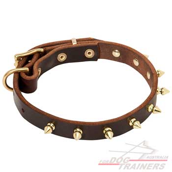 Golden spikes leather collar