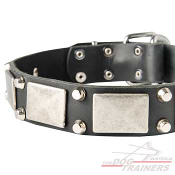 Fashionable dog collar with antique decoration