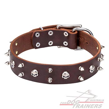 Decorated brown leather dog collar with spikes