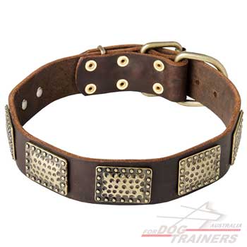 Leather collar for safe dog walking