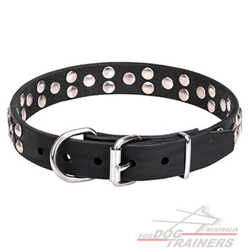Leather pet collar with chrome plated hardware