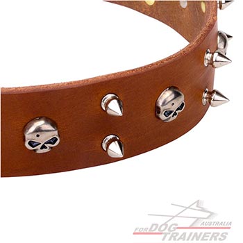Polished tan leather dog collar