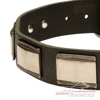Handworked canine collar with decoration