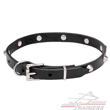  Dog Collar with Rust-proof Hardware