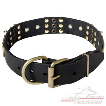 Leather dog collar with convenient buckle