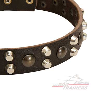 Leather fashionable collar polished and decorated