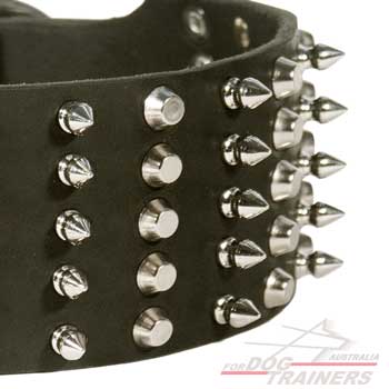 Nickel spikes and pyramids set on leather collar