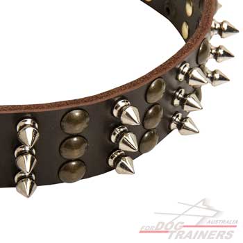 Nickel spikes and brass studs on leather dog collar