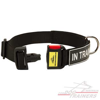 Adjustable dog collar with quick release buckle