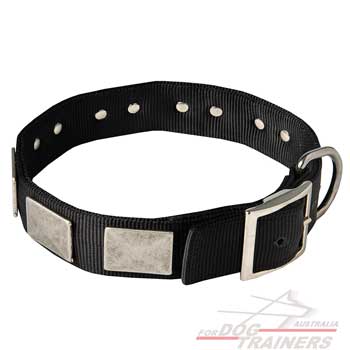 Nylon dog collar with vintage nickel plated plates