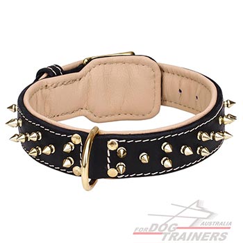 Spiked dog collar for walks in style