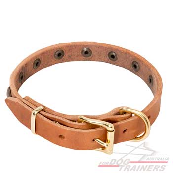 Leather Dog Collar in Tan Color