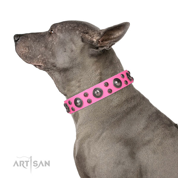 Handy use adorned dog collar of best quality leather