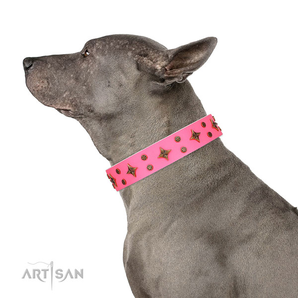Everyday use adorned dog collar of reliable material